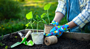 A person appears to be gardening. This relates to concepts discussed in trauma therapy in Forest Hills, NY.